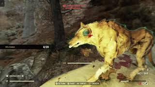 Fallout 76 Sell Wolf Ribs To An NPC Vendor Best Location Quick Easy Guide