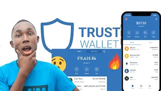 Trust Wallet Scam | Fake BNB |Bexchange Logins Scams
