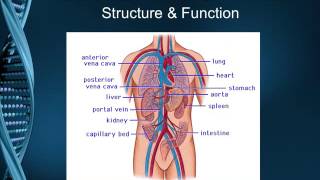 IV Therapy Module 2 - Tri Rivers