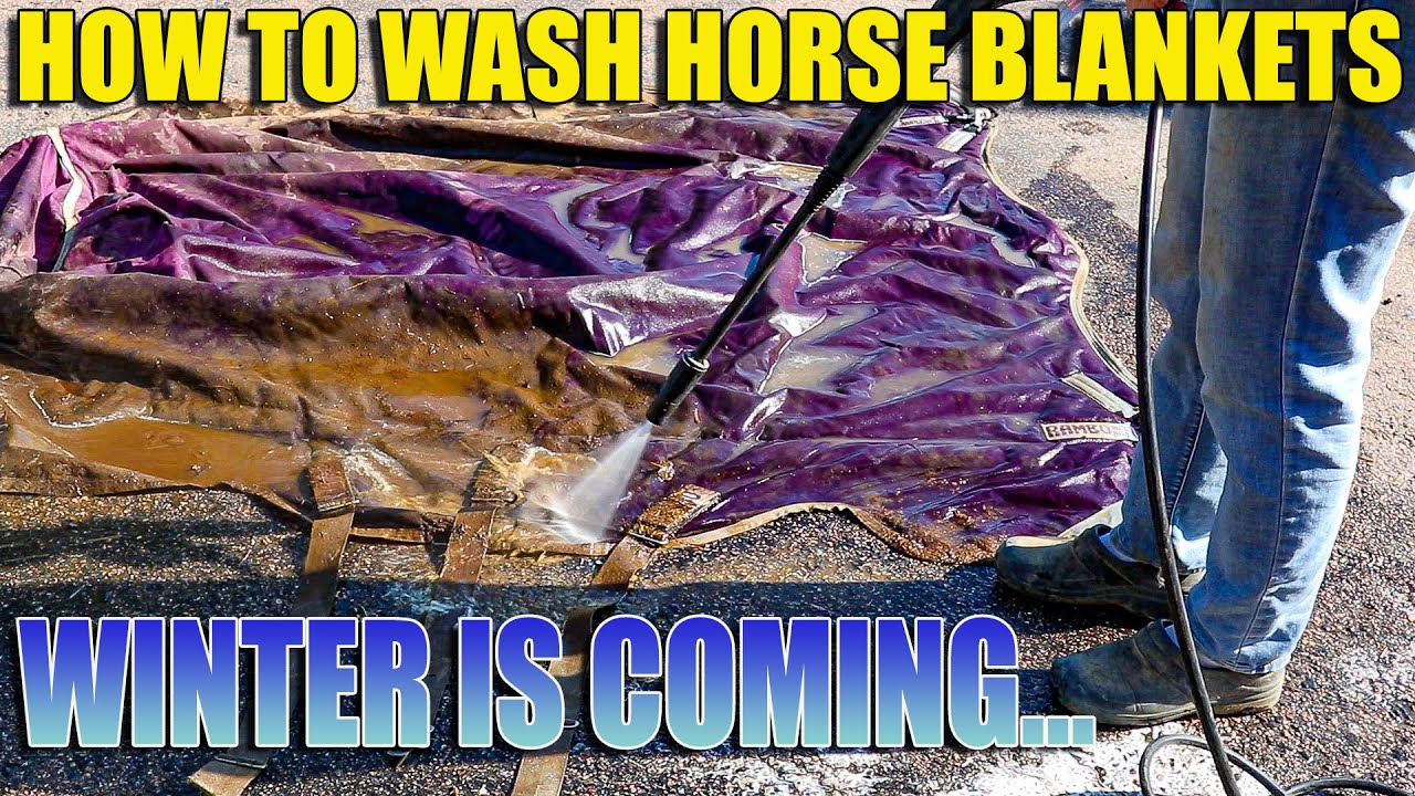 Horse Blanket Wash - Leg Straps - Blankets Tags