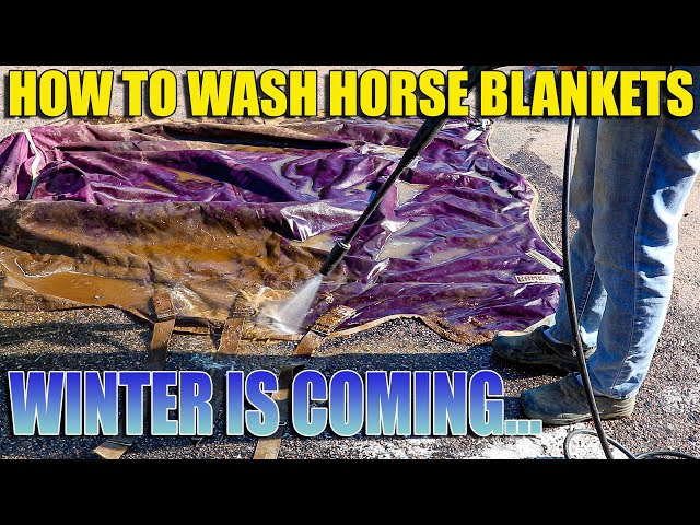 Horse Blanket Wash - Leg Straps - Blankets Tags