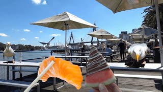 The Sydney Fish Market Tour: The Best of Sydney