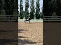 Spruce Meadows Masters 2025 Sunny day in the warm up ring