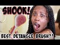 WHY DID I SLEEP ON THIS BRUSH?! | Michel Mercier Brush on Natural Curly Hair