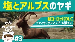 ココカルフの低体温ゲーム実況 Nghenhachay Net