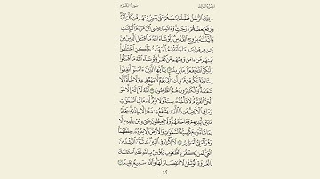 سورة البقرة مكررة 5 مرات (رعد الكردي) صفحة 42
