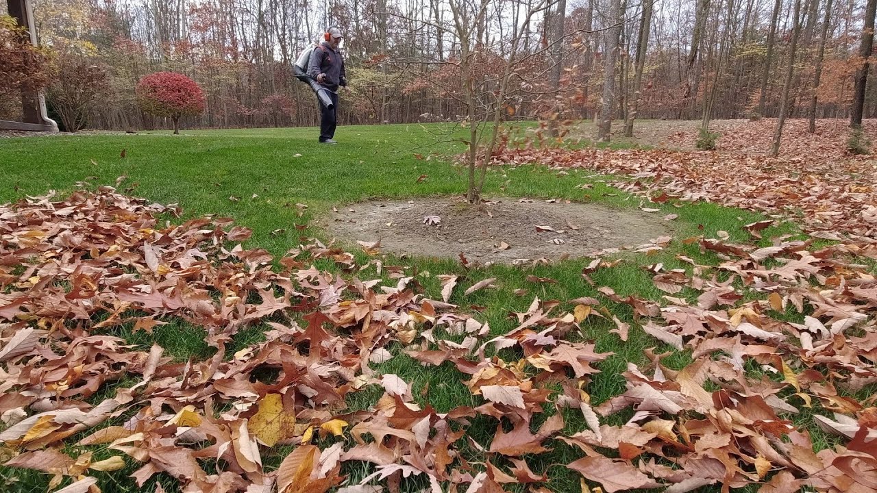 Fall Leaf Clean Up Stihl BR800 YouTube fall-leaf-clean-up-stihl-br800-youtube