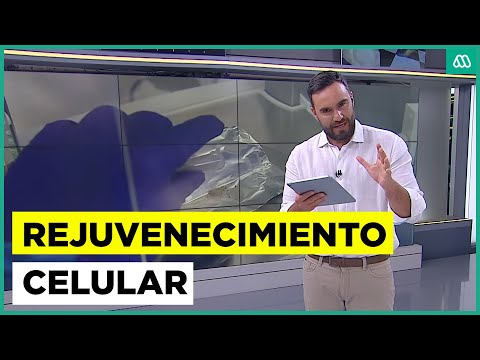 Aprueban ensayo de terapia de rejuvenecimiento celular