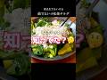 小松菜、生で食べたことある？#shorts