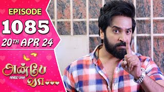 Anbe Vaa Serial | Episode 1085 | 20th Apr 2024 | Virat | Shree Gopika | Saregama TV Shows Tamil