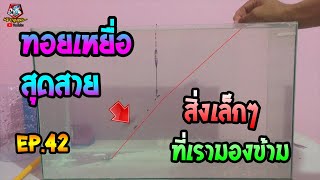 ตกชิงหลิว ทอยเหยื่อสุดสาย สิ่งเล็กๆที่เรามองข้าม EP.42