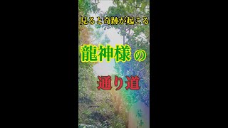 見ると奇跡が起こる♪龍神様の通り道 【龍神風道】沖縄パワースポット #shorts