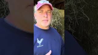 Famous How to get the rats to eat the baking soda mixture Net Worth