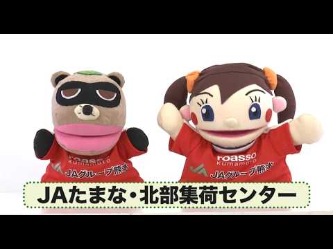 DO YOU のうぎょう？「JAたまな・北部集荷センター」（2026年6月19日 O.A.）