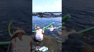 VID 20160325 131105