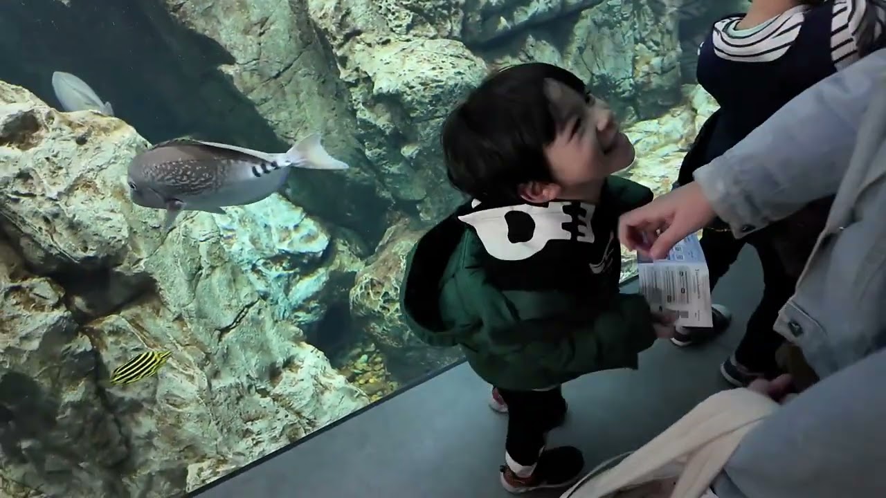 PONN Osaka 2025...Kobe Suma Seaworld