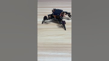How a spider robot moves like