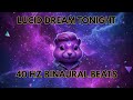Lucid Dream Tonight! Binaural Beats Playlist | Munk Style