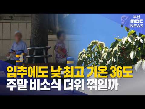 '입추'에도 한낮 기온 36도‥폭염 언제까지? (2026-08-07,금/뉴스데스크/부산MBC) thumbnail