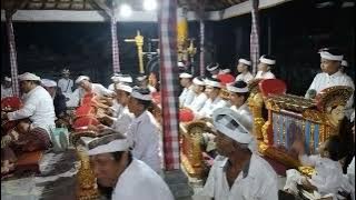 Tabuh BINTANG SIANG Seke Semarpegulingan Desa Basangalas#semarpegulingan #gamelan