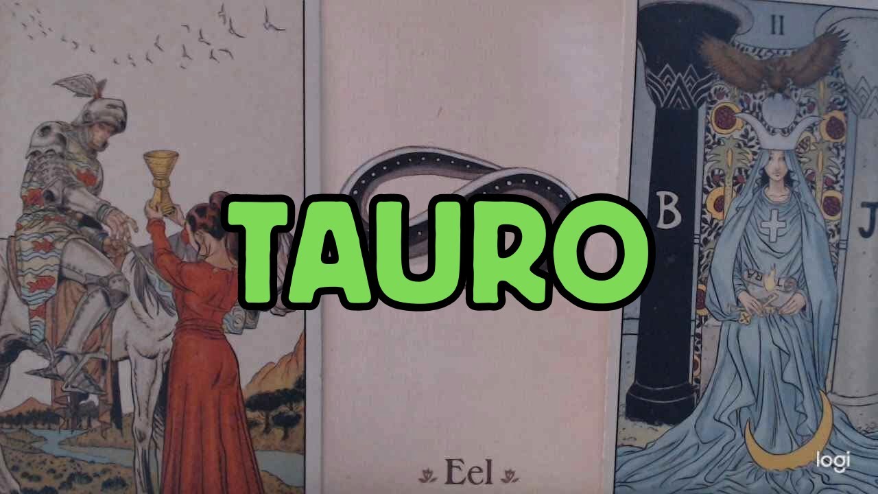 TAURO ESTA PERSONA TE VA A PEGAR UN MENEO TERRIBLE 🔥😍 HOROSCOPO #TAURO ...