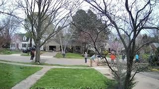 Maywood Tree Down Maywood Tree Down