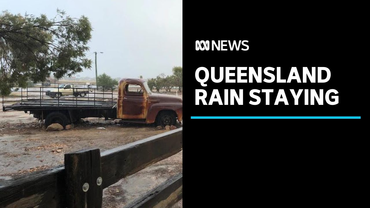 Queensland cattle farmers rejoice as wet weather and rain forecast into ...