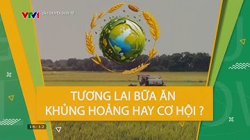 Khủng hoảng lương thực toàn cầu hay cơ hội để thay đổi? | Câu chuyện quốc tế