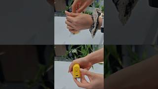 This Rocket in My Hand? Chef’s Kiss ✨ #fry #SmallRocketReview#TechGadget #PortableDevice #GadgetTest