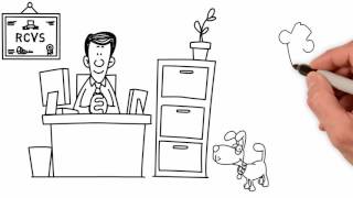 Get Help With Vet Bills - CarefreeCredit