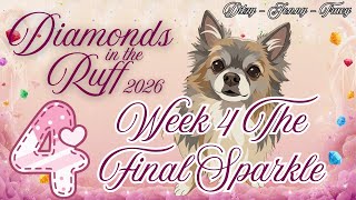 Diamonds in the Ruff Week 4: The Final Sparkle with Ditzy, Jenny and Tracy