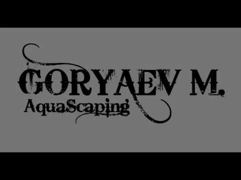#БЗДА - Битва за дешевый аквариум №4. Маленький обзор аквариума и поездка в магазин Живая вода.