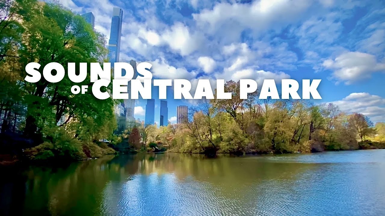 Sounds of CENTRAL PARK (New York City, USA) | 4K
