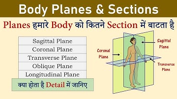 Body Planes and Sections | Sagittal, Coronal, Transverse Plane | Anatomical Planes