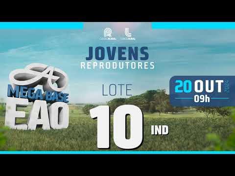 LOTE 10