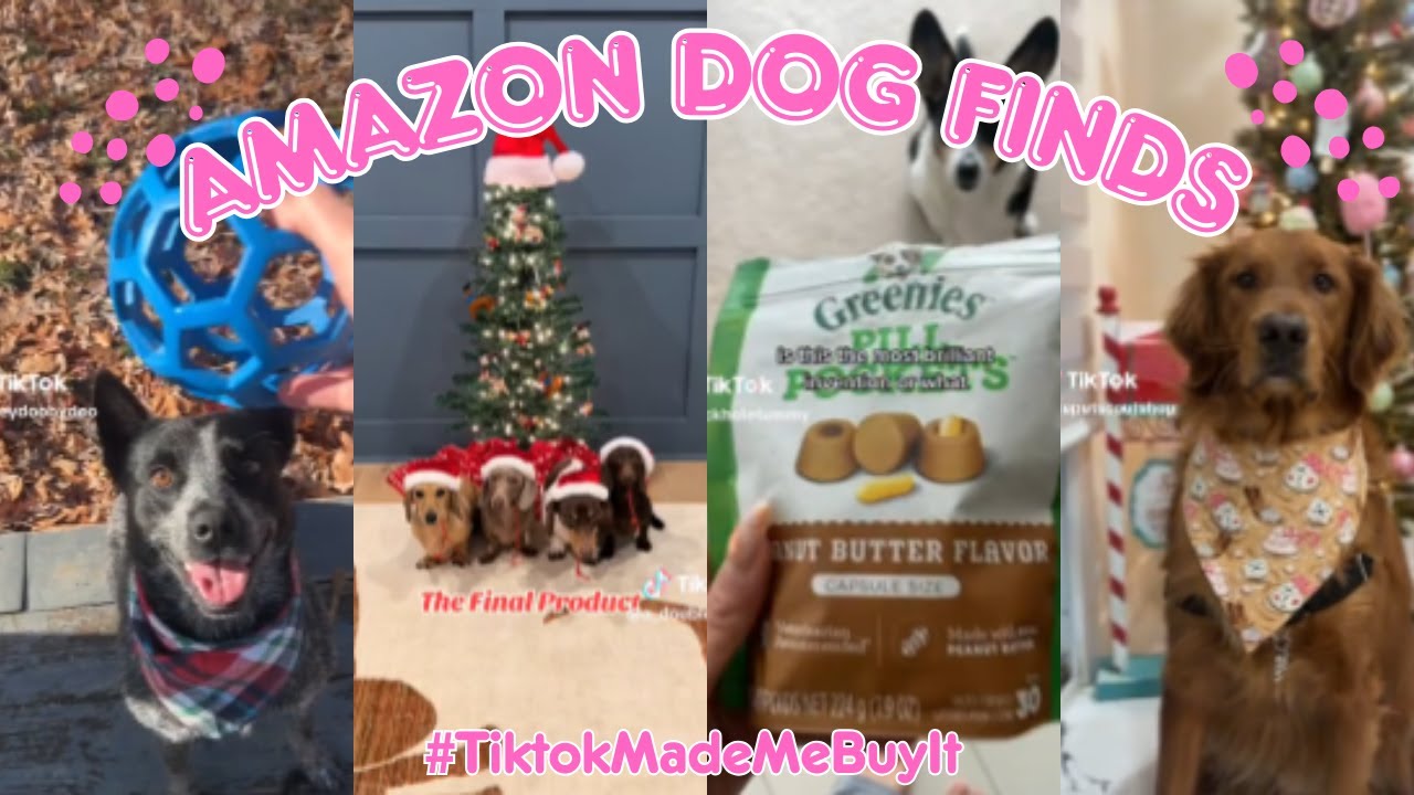 25 Amazon Dog Products Must-Haves You Need! | TikTok’s Best Finds #12