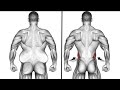 home back workout/ Back workout at home /#viral #shorts #motivation #trending #fitness #ytshorts