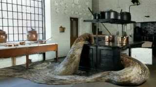 Famous Feather Sculptures | Euromaxx Net Worth