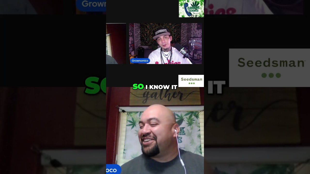 My White Whale: The One Strain We Regret Not Cloning