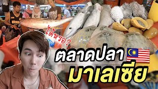 โคตาคีนาบาลู 1 วัน 🇲🇾 บุกตลาดปลา มาเลเซีย!!