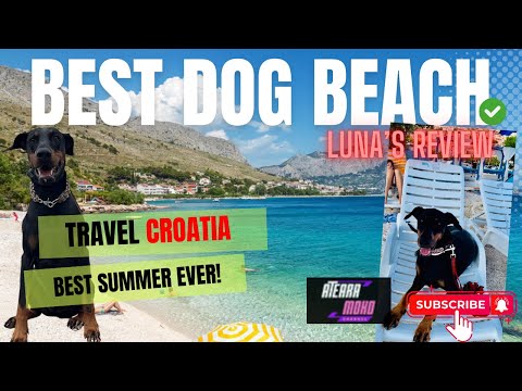 Monty Dog Beach and Bar! -dobermans review!