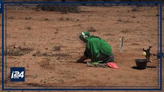 Celebrity Halo Trust Somaliland works to turn country from war zone into haven Profile
