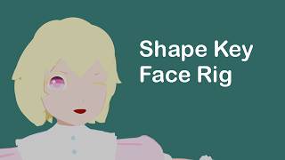 Famous Blender Tutorial: Shape Key Face Rig Profile