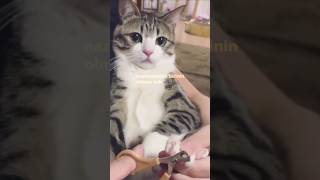 Nazlanilacak Olan Birisi Iyiki Varsın.