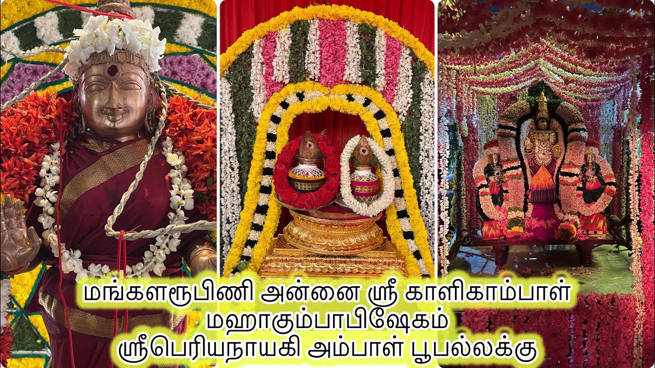 மங்களரூபிணி அன்னை ஶ்ரீ காளிகாம்பாள் பக்த பிரதிஷ்டை கும்பாபிஷேகம் | பூபல்லக்கு #nandhinivibes 