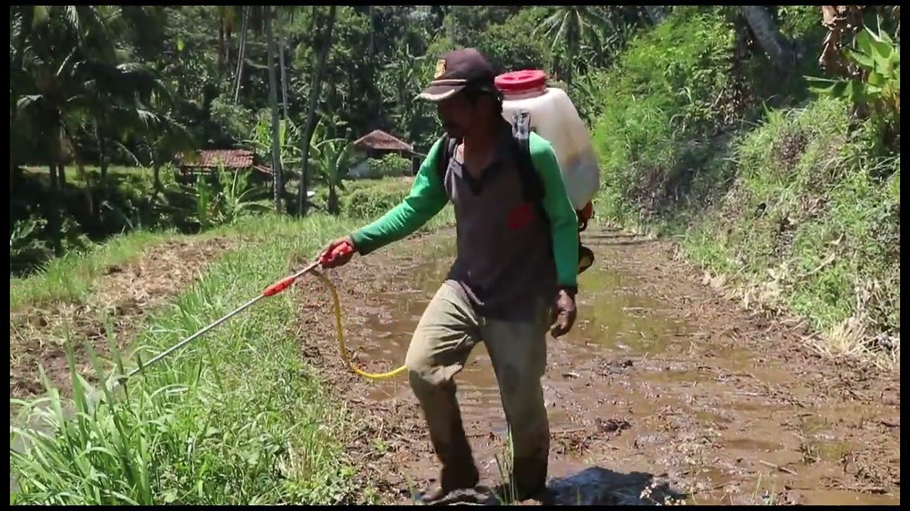 @imatjatnika SAPERTOS KITU DPKP SUMEDANG 