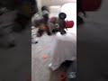 day 4 of throwing lefty