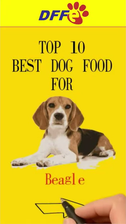 Top 10 Best Dog Food For Beagle✅Buying Guide