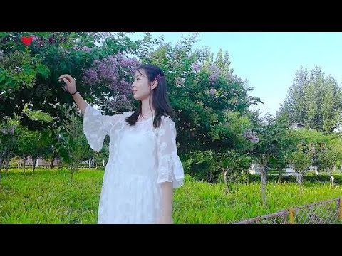 杭娇这首《听心》DJ何鹏版太好听了，送给你，火了一年又一年！