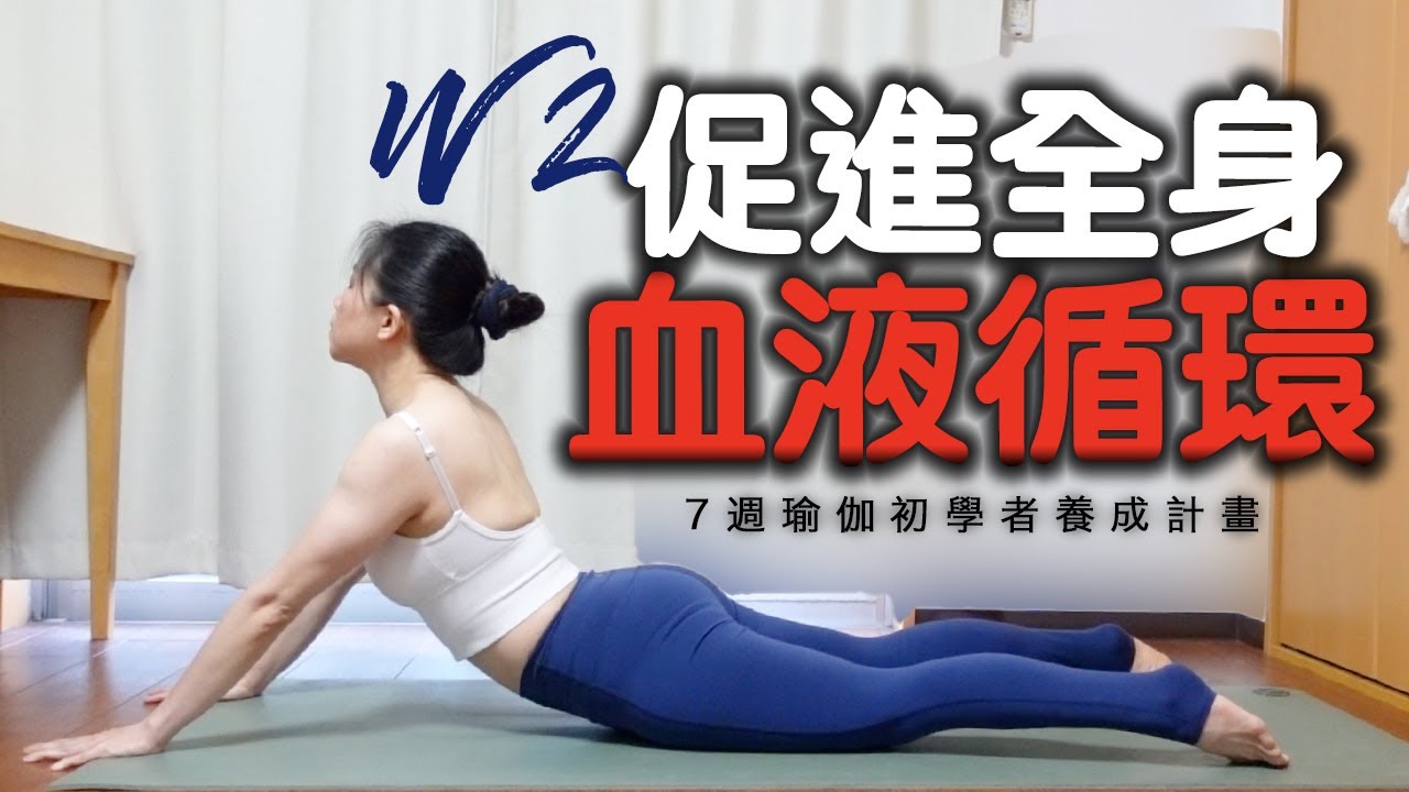 【WEEK 2】促進全身血液循環｜7週瑜伽初學者養成計畫